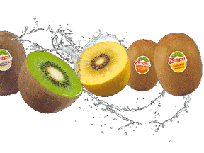 Zespri Kiwifruit is available all over North America.