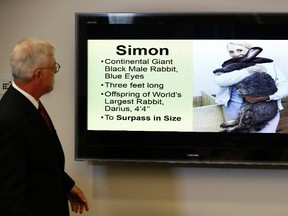 In this May 8, 2017 file photo, attorney Guy Cook speaks a news conference while looking at a photo of Simon, a giant rabbit that died after flying from the United Kingdom to Chicago, in Des Moines, Iowa. (AP Photo/Charlie Neibergall)
