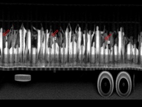 This May 17, 2011 handout X-ray file photo, provided by Chiapas State Attorney General Office, shows, according to the attorney's office, migrants from Latin America and Asia inside a truck heading to the U.S. at a checkpoint near Tuxtla Gutierrez, in Mexico's southern Chiapas state. Big rigs emerged as a popular smuggling method in the early 1990s amid a surge in U.S. border enforcement in San Diego and El Paso, Texas, which were then the busiest corridors for illegal crossings. (AP Photo/Chiapas State Attorney General, File)