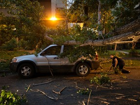 A tree lays across a vehicle near 108A Street and 86 Avenue following a summer storm, in Edmonton Thursday July 27, 2017. David Bloom / Postmedia