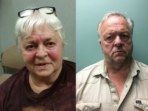This Thursday, July, 27, 2017 provided by Plainfield Police Department shows Pauline Chase, 83, and her son Maurice Temple, 63of Plainfield, N.H. Chase and her son were arrested as police say were involved in a murder-for-hire plot. (Plainfield Police Department via AP)