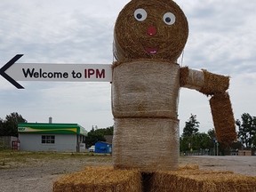 A Londesborough man and his crew have recently made these large straw dolls to help direct tourist to the 2017 IPM. They are currently situated in Seaforth, Brussels, Byth and Monkton. (Shaun Gregory/Huron Expositor)