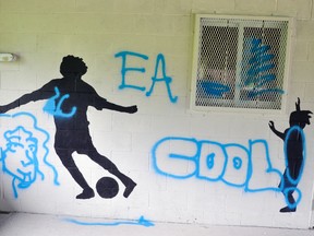 A mural in the Mitchell Lions Park pavilion was vandalized with blue spray paint sometime overnight last Tuesday, July 25. ANDY BADER/MITCHELL ADVOCATE