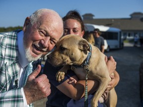 Don Cherry poses with rescued pit bull Jojo. (ERNEST DOROSZUK, Toronto Sun)