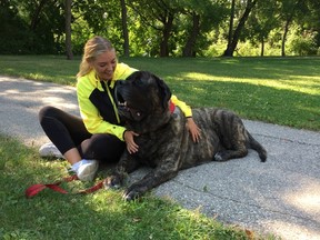 Team Manitoba softball player Shaye Kemball relaxes with Hank, a 240 pound English mastiff during a media event at Stephen Juba Park on Waterfront Drive and James Street in Winnipeg on Monday, July 31, 2017. St. John Ambulance volunteers and their therapy pets will be visiting with young athletes during the Canada Summer Games in Winnipeg.