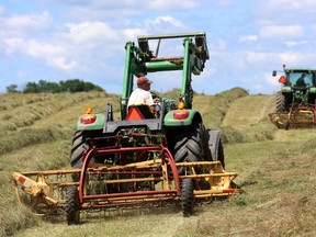 Fred O?Neil and his brother Dennis rake cut hay into windrows so it can be picked up more easily by the baler, north of London. (MIKE HENSEN, The London Free Press)