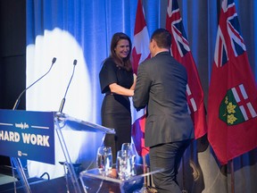 Former prime minister Brian Mulroney’s daughter, Caroline, is seeking to run for the Ontario Progressive Conservatives in next year’s provincial election, adding some potential star power to a party looking to unseat an unpopular government.