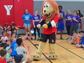Ottawa Senators mascot Spartacat was at the YMCA of Kingston on Wright Crescent to meet with 100 campers. After giving away sunglasses and backpacks from the NHL team, Spartacat presented the YMCA with a $10,000 cheque to the YMCA administration. (Joseph Cattana/For The Whig-Standard)