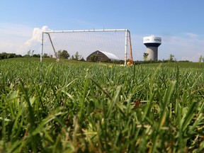 The grass at four fields at John Machin Soccer Park on Wednesday are now ready for games and practices. Last month, a youth drove a pickup truck on the field damaging the field and displacing hundreds of youth soccer players. (Ian MacAlpine/The Whig-Standard)