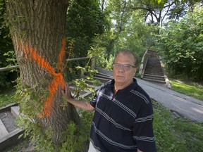 The $7.1-million and counting revitalization of Ramsden Park includes a contentious plan to install what residents are calling a “monstrous” ramp-like structure from the park’s Hillsboro Ave. entrance. Resident James Murphy doesn't think the project is necessary. (STAN BEHAL/TORONTO SUN)