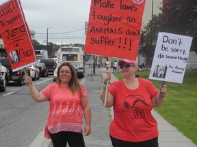 Animal rights protesters Jasmine Mayer, left, and Sheila Bianconi protest outside the Sudbury Courthouse on Wednesday. HAROLD CARMICHAEL/SUDBURY STAR