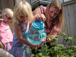 Louise Hutchison, right, helps her granddaughters Hayleigh, centre, three, and Riley, six, water the garden at their home in Airdrie, Alta., Thursday, July 27, 2017. THE CANADIAN PRESS/Jeff McIntosh