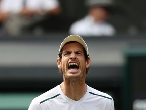 Britain's Andy Murray reacts after losing a point against US player Sam Querrey in their men's singles quarter-final match at The All England Lawn Tennis Club in Wimbledon on July 12, 2017. (AFP PHOTO)