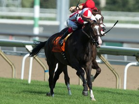 Jockey Luis Contreras guided Inflexibilty to victory in the $225,000 Wonder Where Stakes. (Michael Burns Photo)