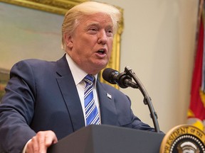 U.S. President Donald Trump.  (Chris Kleponis-Pool/Getty Images)