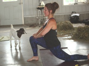 Kelly Miller, 27, from Seaforth taught a yoga class with the friendly presence of Justin the goat. The event dubbed as Goat Yoga is one of the four Traveling Pop-Up Series offered by Degree CrossFit. (Shaun Gregory/Huron Expositor)