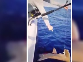 A video depicts a man allegedly shooting a hammerhead shark with a pistol. (Screengrab)