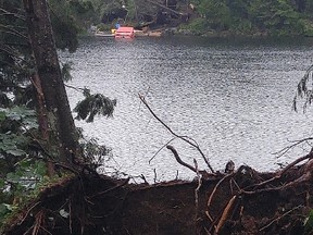 Storms knock down trees and power lines in Muskoka on Friday evening. (Allison @alwayswanderful/TWITTER)