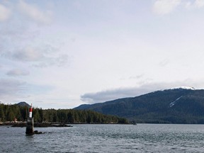 Lelu Island, near Prince Rupert, BC, is seen March 8, 2013. Petronas announced on July 25, 2017 that it will not be proceeding with the $36-billion Pacific Northwest LNG megaproject it had planned to build in British Columbia. THE CANADIAN PRESS/Robin Rowland