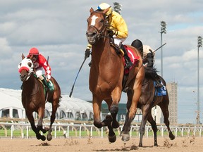 Jockey Sheena Ryan guides Be Vewy Vewy Quiet to victory in the $125,000 Clarendon Stakes yesterday at Woodbine. (MICHAEL BURNS PHOTO)