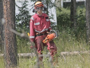 Tristan Carlson, a Whitecourt FireSmart summer student, stands near the Whitecourt Healthcare Centre on July 31. He and other FireSmart crew members were clearing away dead trees from the area to mitigate the risk of a wildfire spreading there (Joseph Quigley | Whitecourt Star).