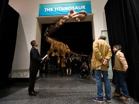 This Jan. 14, 2016, file photo shows visitors to the American Museum of Natural History examining a replica of a 122-foot-long dinosaur on display at the American Museum of Natural History in New York. (AP Photo/Mary Altaffer, File)