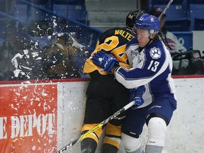 Sudbury Wolves Michael Pezzetta  battles for position with Hamilton Bulldogs Connor Walters during OHL action from the Sudbury Community Arena in Sudbury, Ont. on Friday October 14, 2016. Gino Donato/Sudbury Star/Postmedia Network