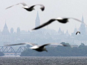 It's looking like another muggy day Thursday. WAYNE CUDDINGTON / OTTAWA CITIZEN