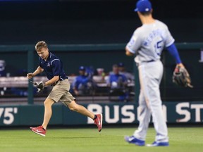 A Busch Stadium grounds crew members carries a small cat that had across the outfield during the sixth inning of a baseball game between the St. Louis Cardinals and the Kansas City Royals on Wednesday, Aug. 9, 2017, at Busch Stadium in St. Louis. (Chris Lee/St. Louis Post-Dispatch via AP)