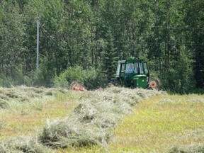 Randy Vanderveen/Special to the Peace Country Sun
A Dawson Creek farmer takes his hay crop on a warm late July morning. Peace Country farmers on both sides of the border are working at getting this year’s hay crop off. Unfortunately intermittent showers keep delaying the baling process.