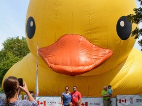 The world's largest rubber duck made its ways to Brockville on Thursday morning, and a crowd of at least 100 people watched on as it inflated for three hours.