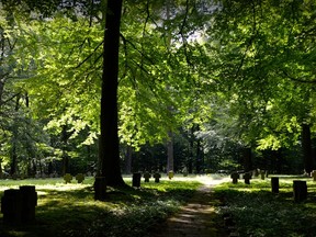 Cemetary Aug. 11/17