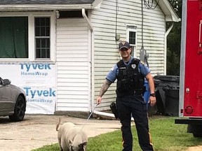 Woolwich Township police joked about capturing a loose pig over the weekend on its Facebook page. Needless to say, jokes ensued. (Woolwich Township Police Department/Facebook)