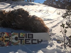 Keith Wass, dressed as Chewbacca, pictured here with a snowboard. (Keith Wass/Facebook).