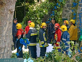 Firefighters hold a blanket as bodies are removed from the scene where a tree fell on a large crowd on the outskirts of Funchal, the capital of Madeira island, Portugal, Tuesday, Aug. 15, 2017. Portuguese authorities say a tree that fell during a popular religious festival on the island of Madeira killed at least 12 people and more than 50 others were injured in the accident near the island capital of Funchal. The tree fell while a large crowd was gathered as part of a Nossa Senhora do Monte festival. (ASPRESS via AP)