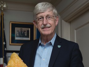 National Institutes of Health (NIH) Director Francis Collins poses with a fat tissue model for a portrait after his interview with The Associated Press at the NIH headquarters in Bethesda, Md., Friday, July 28, 2017. After DNA testing showed he was predisposed to Type 2 diabetes, which is more likely to develop if a person is overweight or obese, Collins shed 35 pounds (16 kilograms). (AP Photo/Sait Serkan Gurbuz)