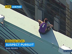 This frame from video provided by KABC-TV shows a man atop a container loading crane at the Port of Los Angeles, where he climbed after an hours-long high-speed police pursuit of his vehicle in Los Angeles, Wednesday, Aug. 16, 2017. The man left his car, climbed to the top of the crane and was sitting there as darkness approached. (KABC-TV via AP)