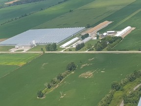 A British Columbia company wants to invest up to $30 million in a medical marijuana growing and processing facility at the site of the Enniskillen Pepper Company on LaSalle Line in Enniskillen Township, near Petrolia. (Handout)