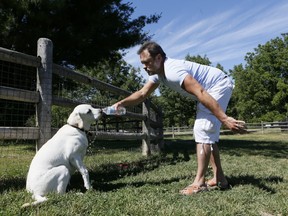 Dog owners appeal to Toronto Councillor Pasternak for water and shade sources for their dogs in Earl Bales Park on Thursday June 23, 2016. (Stan Behal/Toronto Sun)