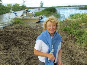 Nancy Vidler, with the Lambton Shore Phragmites Community Group, stands Friday Aug. 18, 2017 next to a wetland on Lake Huron in Lambton Shores where equipment has been working this past week to battle the invasive reed. (Paul Morden/Sarnia Observer)