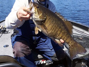 Columnist Frank Clark shows off a chunk of a bronzeback that took to a Carolina rig on a controlled drift off a steep point. Photo supplied