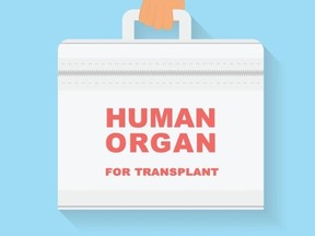 organ donor