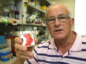 Western scientist Gregor Reid is trying to get fermented foods such as yogurt and sauerkraut added as a daily portion to the Canadian Food Guide, because the fermentation process gives the foods added benefits for health. (MIKE HENSEN, The London Free Press)