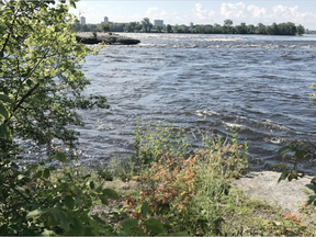 Ottawa River near the Deschenes Rapids on the Gatineau side. (Darren Brown, Postmedia)