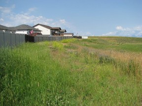 An open lot behind Briar Rd. next to Hwy. 507 is designated as “town green space.” Community resident Don McRae says the area is a “big eyesore for people looking to move to Pincher Creek.” | Submitted photo / Don and Linda McRae