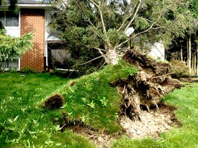 Trees were knocked down, sheds destroyed and lawn furniture went flying shortly before 5 p.m. Tuesday as what is suspected to be a microburst hit a quiet neighbourhood in West Ferris as many families were home and preparing supper.