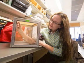 Brock University scientist Dr. Fiona Hunter.