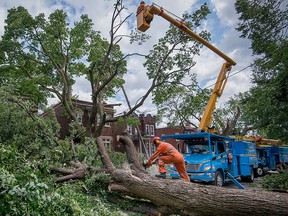Workers clear a downed tree blocking a street in the Montreal borough of Notre-Dame-de-Grace on Wednesday, August 23, 2017. A severe wind storm that ripped through the area Tuesday August 22 caused tremendous damage to trees, cars and rooftops. THE CANADIAN PRESS/Peter McCabe