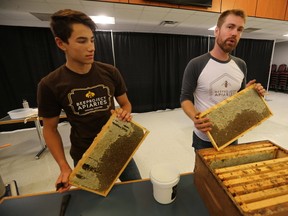 Lucas Smith (left), and Christopher Kirouac demonstrate honey extraction, in Winnipeg. Wednesday, August 23, 2017. Sun/Postmedia Network