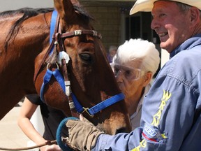 Photo by Keenan Sorokan Reporter/Examiner - 
Juliette Mitchell gives Dr. Pepper a kiss as Dr. Don Nixon looks on. Nixon brought his horse to Westview Health Centre for the ninth consecutive year to let residents view, ride and play with the animal.